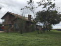Mi Refugio Canino Foto Mi refugio Canino 4